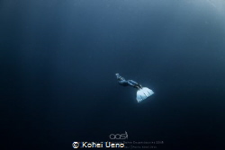 Taken on a single breath with a wide fisheye lens, a free... by Kohei Ueno 